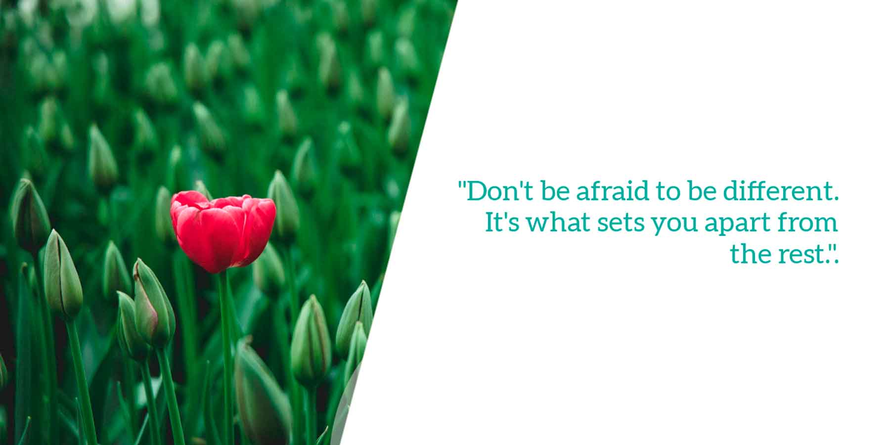 Don't be afraid to be different. It's what sets you apart from the rest